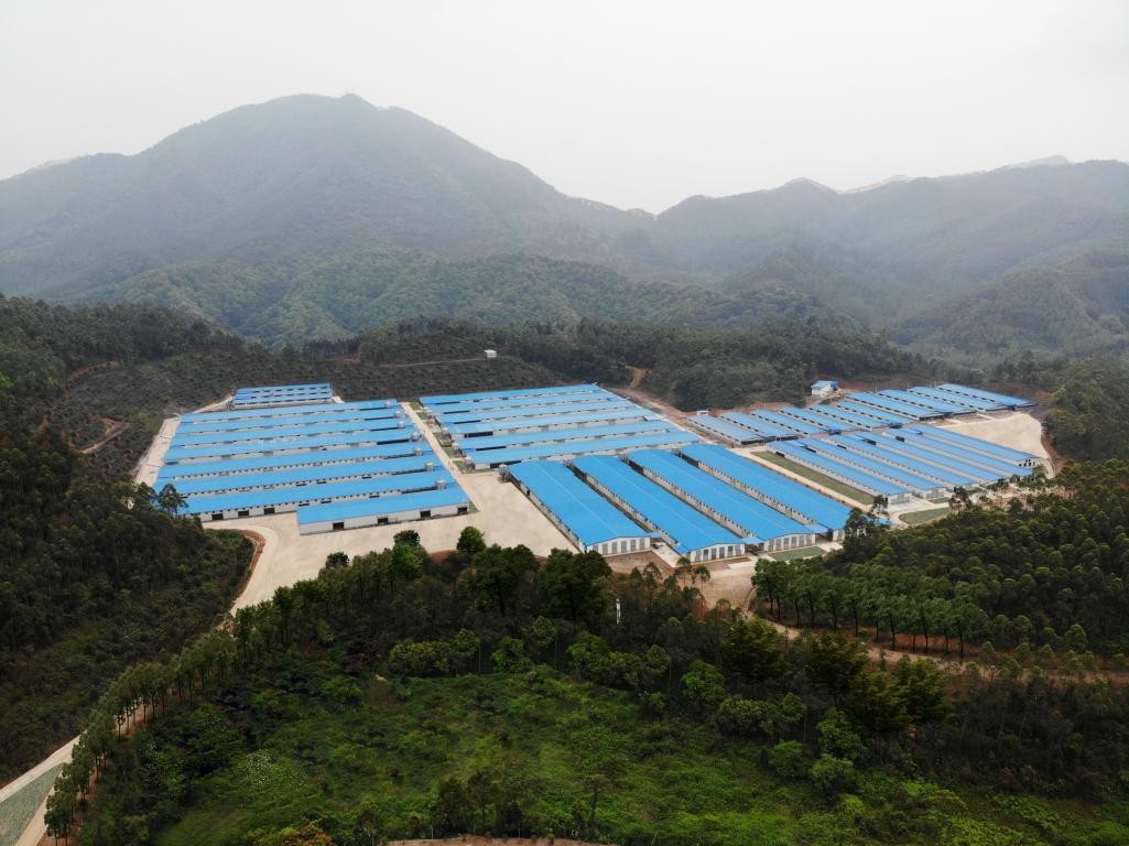 出口示范基地“進(jìn)階記”④ | 出口創(chuàng)匯8677萬(wàn)美元，唐順興食品爭(zhēng)當(dāng)農(nóng)產(chǎn)品出口大戶