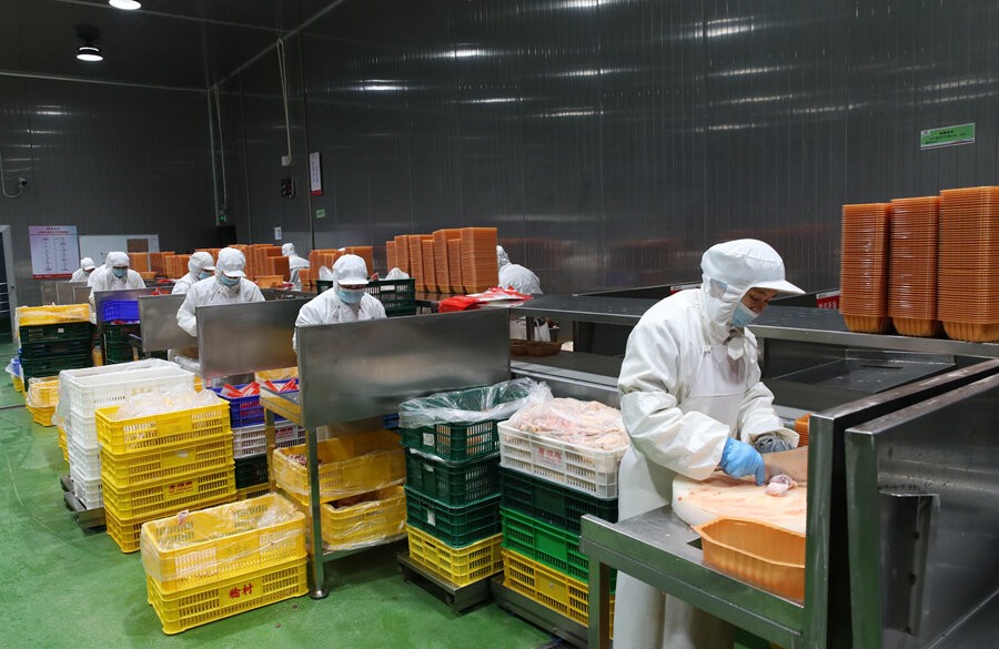 白切雞批發(fā)供應(yīng)商-打造智能物流，高效供應(yīng)鏈體系