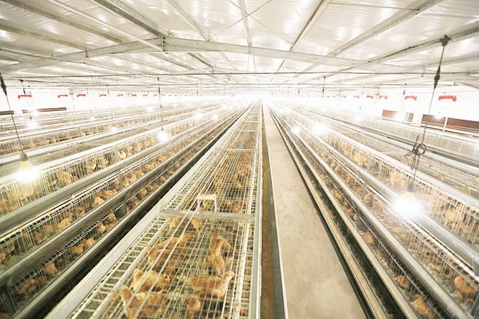 如何選擇一家優(yōu)質(zhì)的港式燒臘批發(fā)廠家？