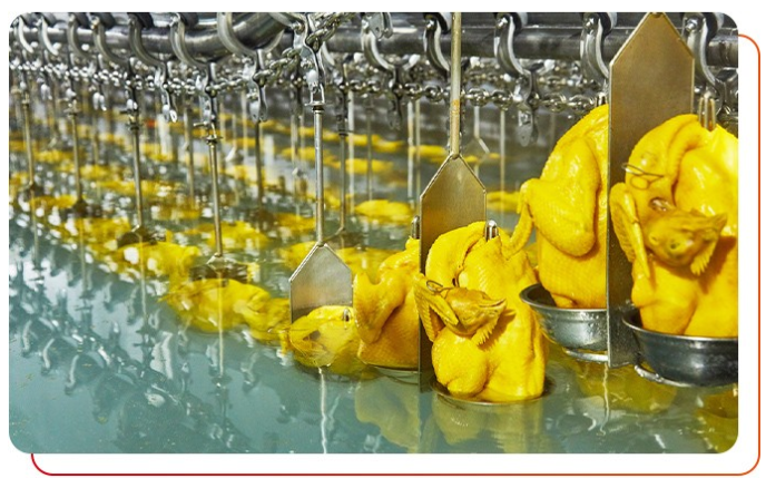 白切雞食材供應商唐順興的優(yōu)勢特點